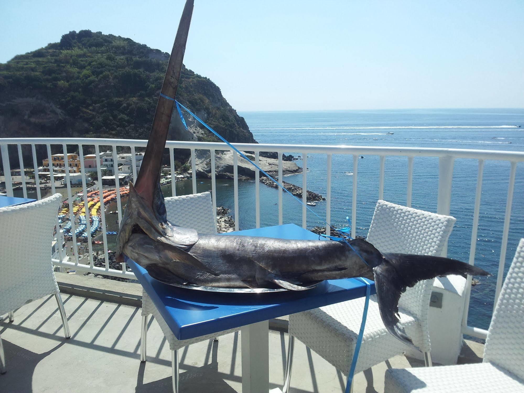 Hotel Villa Sirena Sant'Angelo  エクステリア 写真